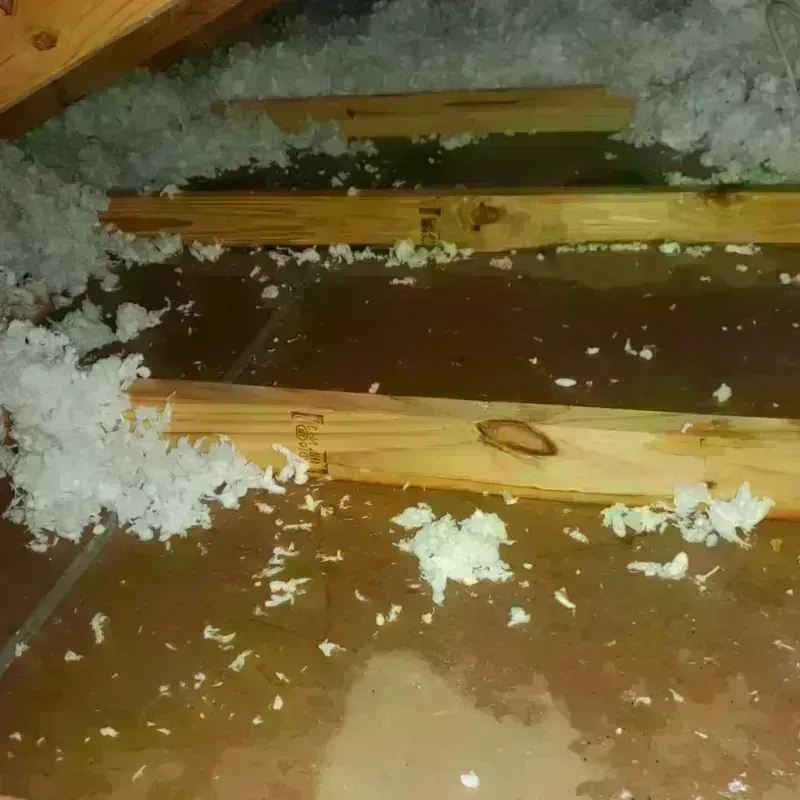 Attic Water Damage in Ocean Shores, WA