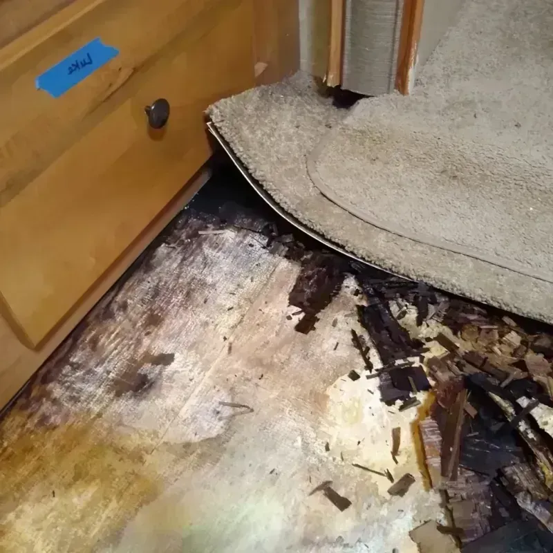 Wood Floor Water Damage in Ocean Shores, WA